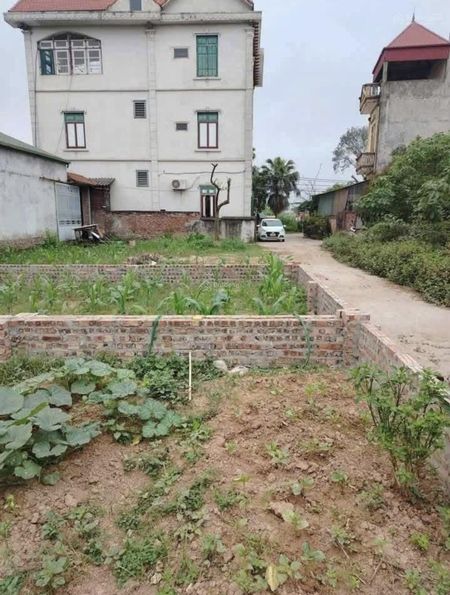Bán gấp 42,6m2 đất Mai Lâm, ngõ 2.5m, cách 1 nhà ra oto tránh, sát bìa làng. 2km tới triển lãm, Vin