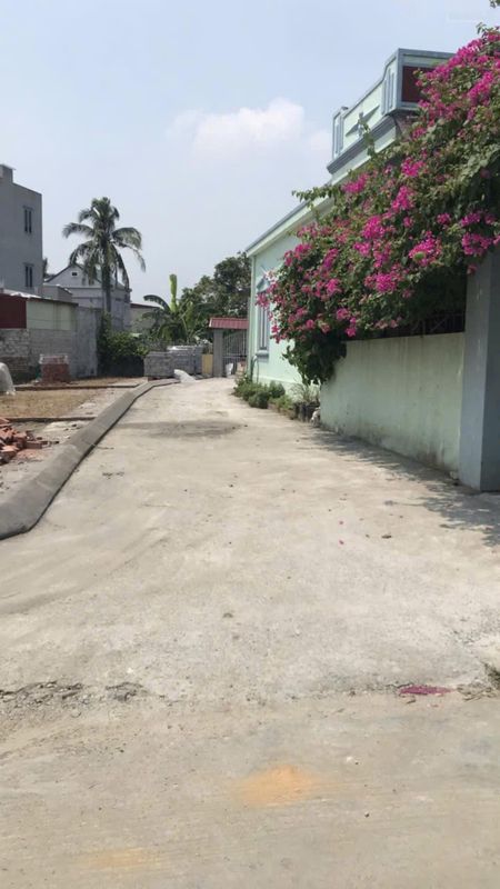 Đất nền giá rẻ An Lão Hải Phòng
