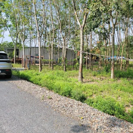 Cần chuyển nhượng hơn 11000m2, đất 2 mặt tiền ngay đối diện safari