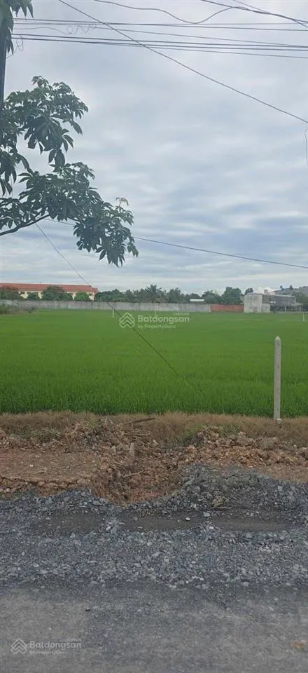 Bán đất thổ cư 100% mặt tiền đường út an, đức hòa, long an, giá siêu hời 2,1 tỷ, 5m x 57m (286,3m2)