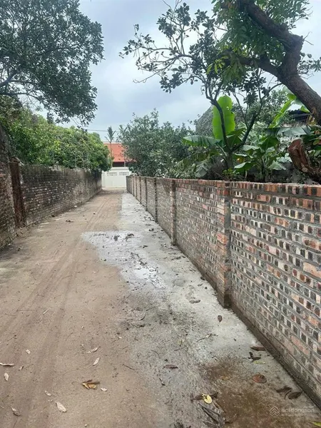 Đất mễ sở, văn giang, hưng yên, đường di sản, ô tô, thông, 109m2, mt 6.25m, 26tr/m2, 0971 320 ***