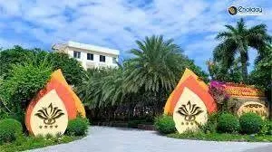 Bán đất 1110 m2 mặt tiền trần văn giàu, khu nhà giàu cồn khương, p cái khế, tp cần thơ
