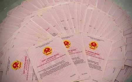 BÁN ĐẤT NỀN VEN SÔNG SHR TRUNG TÂM PHƯỜNG TÂN TRIỀU MỚI