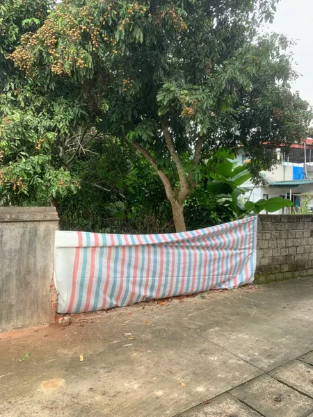 Bán đất