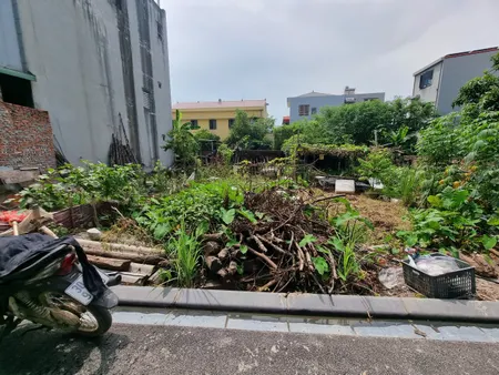 BÁN GẤP! Đất 60m² Uy Nỗ, Đông Anh – Sổ đẹp, nở hậu, chỉ 5.2 tỷ