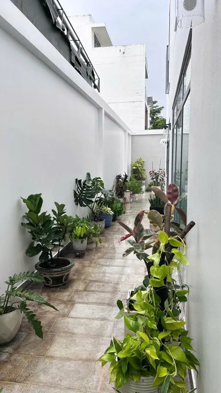 BDS HVL  CG- CHO THUÊ NHÀ NGUYÊN CĂN KHU DÂN CƯ ĐÔNG THỦ THIÊM,  ĐỖ XUÂN HỢP  Q2