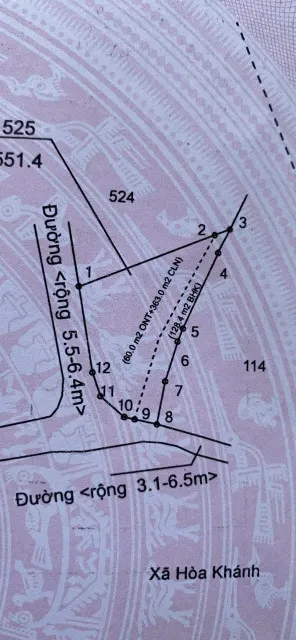 Bán đất 175m² giá 530 triệu Xã Hòa Khánh