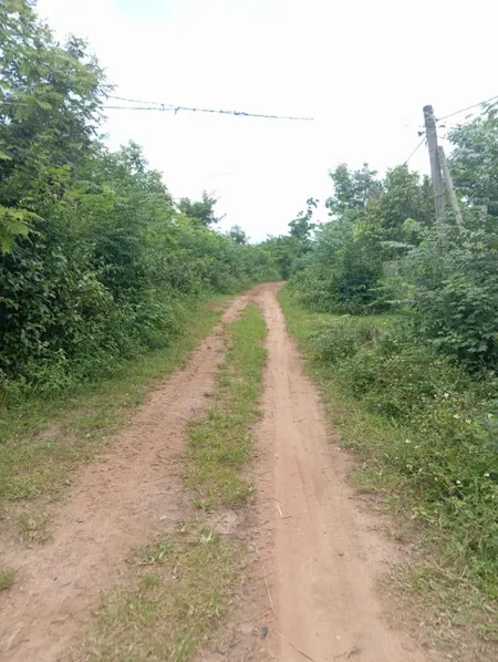 Bán đất 3000m² giá 479 triệu Xã Ea Ning