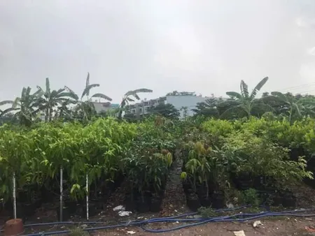 ⭐️ 0.9Ha Đất đầu tư GD View sông – Phan Huy Ích Gò Vấp