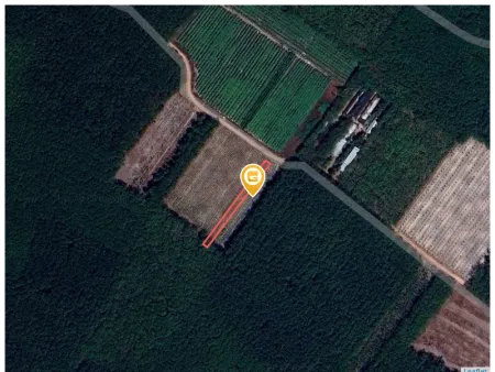 Bán đất 532.5m² Xã Bàu Bàng