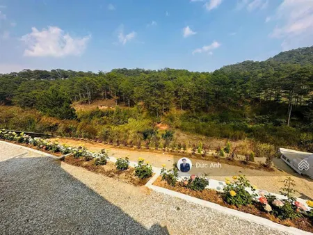 Bán 5.013,29 m2 đất sổ riêng xd phường 10 đà lạt view ôm rừng thông ngút ngàn, giá chỉ 9 tr/m2