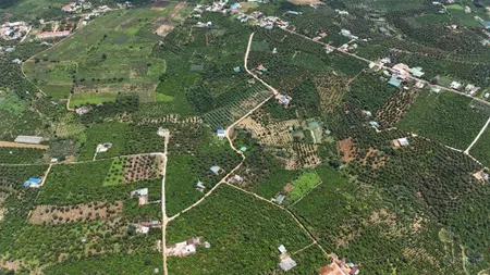 Bán đất tại xã hoà ninh, di linh, lâm đồng, giá tốt, 399 triệu, 95.7 m2