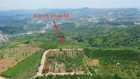 Miếng 2000m2 nóng hổi ở ven đà lạt do đến thời hạn đáo hạn nên cần bán gấp có 508tr