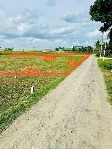 Chính chủ bán đất giá rẻ 800m2 tại mỹ hạnh bắc. khu dân cư sầm uất, sổ riêng, công chứng ngay