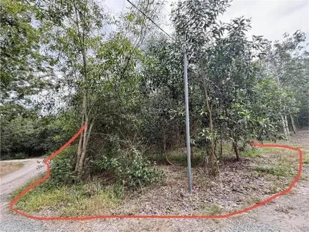 Chính chủ cần bán 3 sào đất suối cao xuân lộc