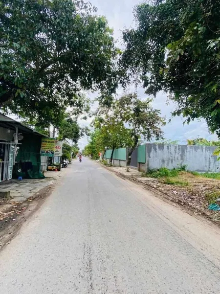 Bán đất Lê Hồng Nhi Cái Răng 315.2m² ngang 8m giá 6.5 tỷ Phường Cái Răng