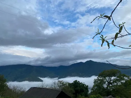 Bán đất săn mây đỉnh cao tại tà xùa sơn la view mỏm lạc đà tuyệt đẹp