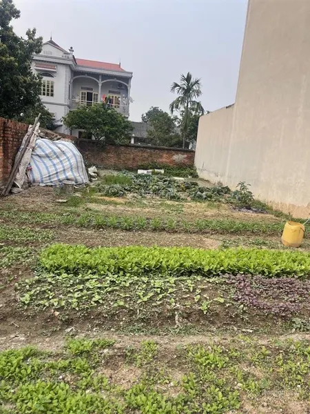 Bán đất thắng lợi, phú minh 98m2 giá chỉ 3.1tỷ