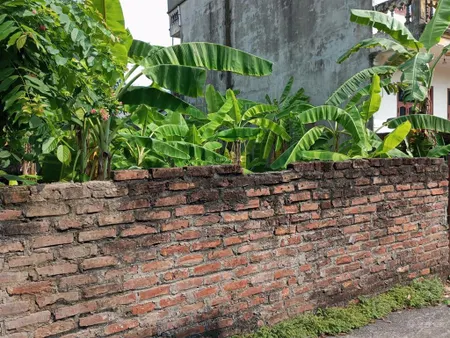 Bán đất dương quang, gia lâm, 55m, ô tô đỗ cửa, chỉ hơn 2 tỷ!