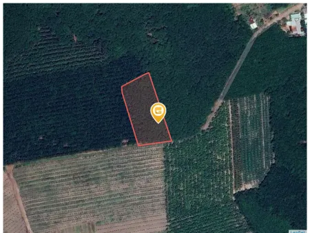 Bán đất 4887.6m² Xã An Long