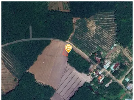 Bán đất 583.5m² Xã An Long