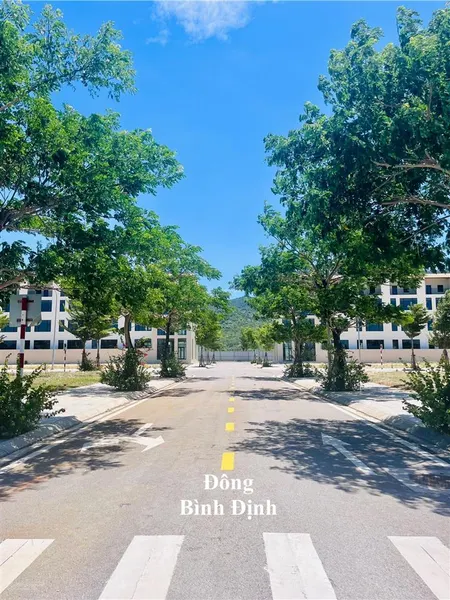 Bán lô đất trong khu đô thị cát tiến. dt 100m2 (5x20m). giá 2,2 tỷ