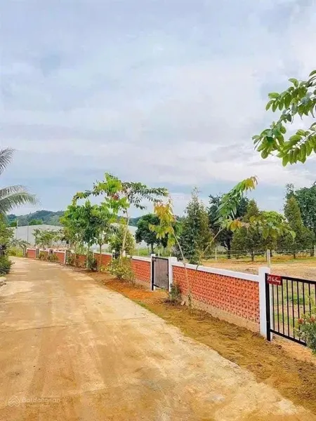 Đạ hoai lâm đồng dt 6*60 sẵn hơn 100m2 tc đường bê tông thông tứ hướng sát quốc lộ 100m chỉ 3xxtr