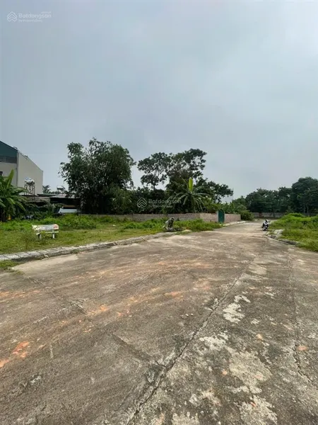 Bán đất khu tđc tam dương, bắc phú thọ (trước thuộc xã hoàng hoa, tam dương)
