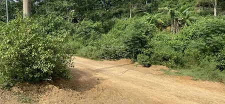 Bán gấp 2.000m2 đất xã sông cầu, gần ql27c, huyện khánh vĩnh