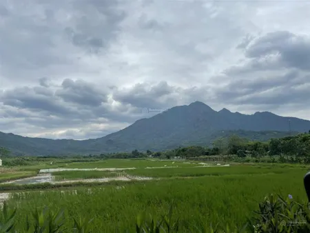 Lô đất view cánh đồng thoáng hướng nhìn thẳng núi ba vì 0972 731 *** giá dầu tư