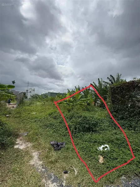 Bán đất thổ cư 313m vườn lài an phú đông quận 12