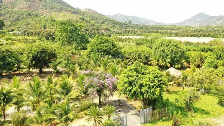 Đạ oai đạ hoai lâm đồng dt 10*33m sẵn 100m2 thổ cư view đồi đất giáp suối thơ mộng chỉ 9xxtr