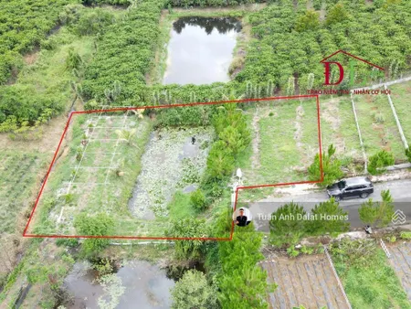 Bán đất xã lộc quảng, huyện bảo lâm 923m2 có 213m2 thổ cư có hồ sen, view đồi không che chắn