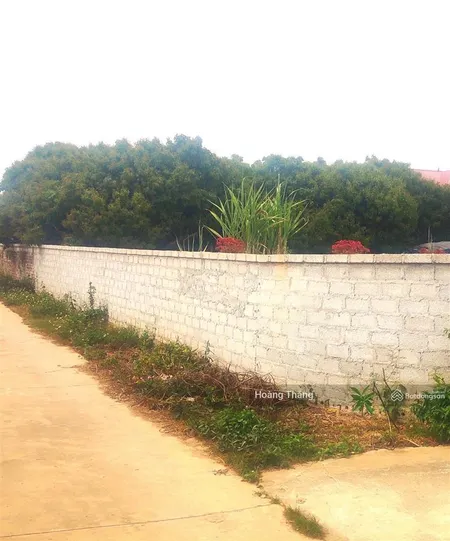 Bán 312m2 đất kép 2 hồng giang phường chũ bắc ninh giá đầu tư 0982 188 ***