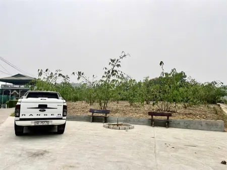 Bán đất tỉnh phú thọ. 1315m2. gia đình kẹt tiền, bán rẻ hơn thị trường nhận cọc ngay trong 3 ngày