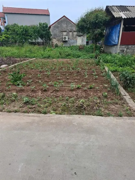 Bán đất đa tốn, xã bát tràng, hà nội, diện tích 48m2 * 6m * 3,8 tỷ ngõ thoáng dân đông