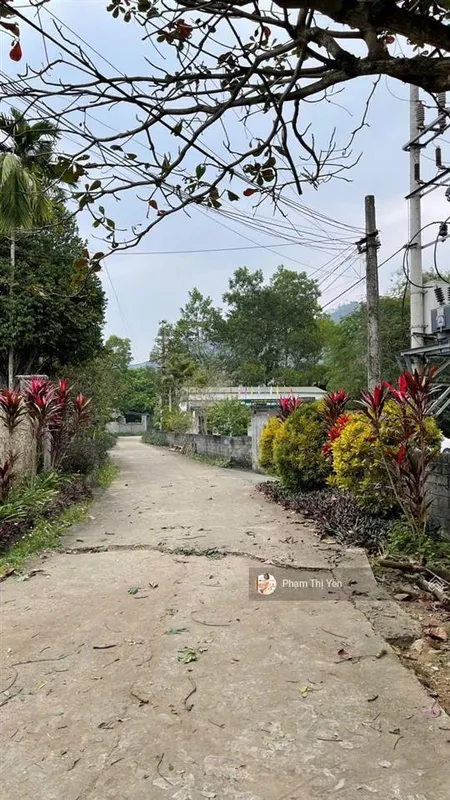 Gia đình tôi muốn bán 493m2 có 400m2 thổ cư, lô góc 3 mặt thoáng tại lâm sơn, lương sơn. sẵn nhà c4