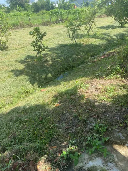 Bán đất 635.9m² ngang 16m giá 12 tỷ Phường Tân Khánh