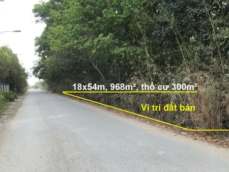 Bán Đất Mặt Tiền Đường Nguyễn Thị Châu – Phú Hòa Đông, Củ Chi – 968m² (18x54m), Giá Chỉ 6.5 Tỷ