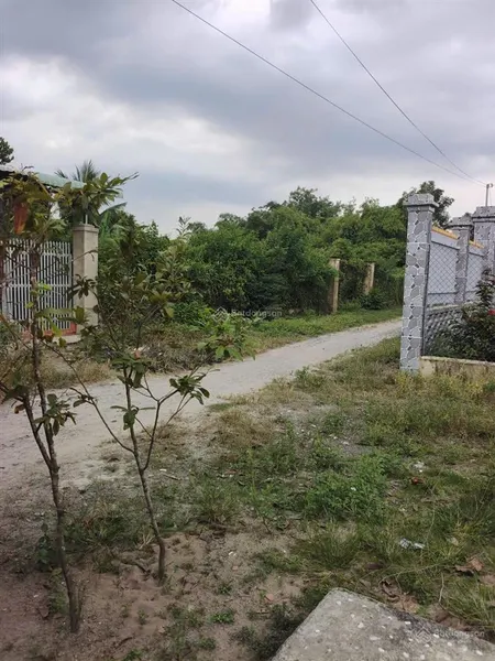 Bán đất hòa phú trảng bàng 384m² (6x64m), có 100m² thổ cư, giá chỉ 1.35 tỷ
