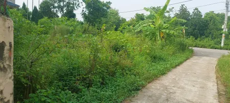 Chính Chủ bán