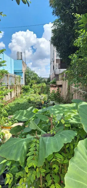 ĐẤT MẶT TIỀN ĐƯỜNG TÂN HIỆP 08, SÁT MẶT TIỀN ĐƯỜNG DƯƠNG CÔNG KHI. VỊ TRÍ ĐẮC ĐỊA KINH DOANH SẦM UẤT. 165M2 (5X33M).