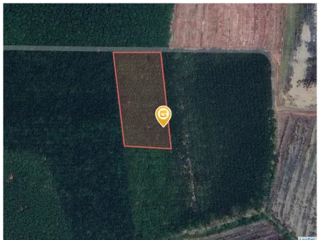 Bán đất 20000m² ngang 75m giá 16 tỷ Xã Phú Giáo