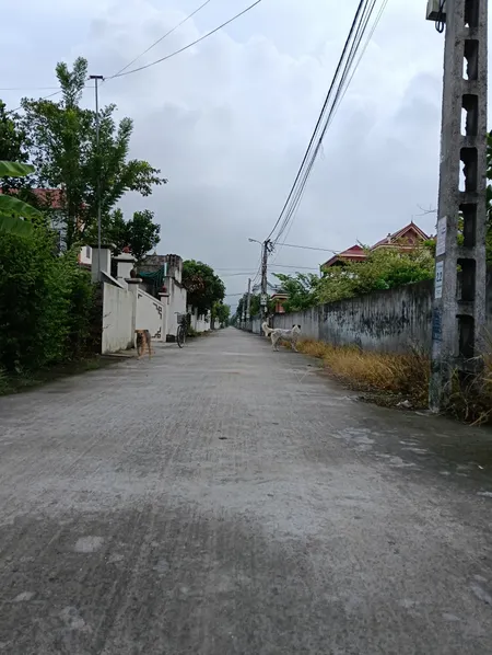 Cần tìm chủ mới cho lô đất
