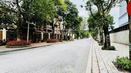 Bán mảnh đất khu d9 vườn đào tây hồ 175m2 mặt tiền 11m làm biệt thự hoặc xây 7 nổi 1 hầm