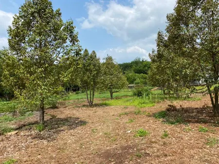 Hot! bán gấp lô đất 2950m2 có 100m2 thổ cư, mặt tiền đẹp tại thanh bình đồng nai giá chỉ 2.65tỷ