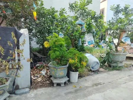 Bán đất 46m2, mt 4.5m giá 4 tỷ tại đường bắc thăng long, nam hồng, đông anh, hà nội