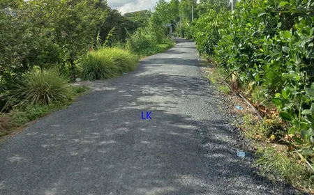 Bán nhà đất 19.000m² (mặt tiền 25m, thổ 800m², hậu 60m) đường nhựa 3.5m, xã tân hội trung