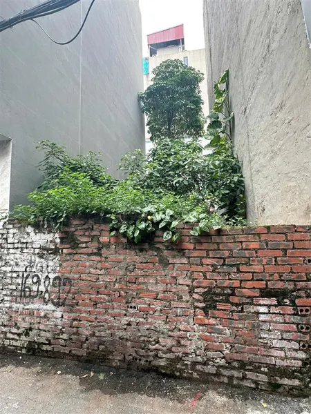 Cực phẩm nguyễn văn trỗi 45m2, mt 4m ô tô vào nhà 3 bước ra phố giá 9,99 tỷ (tl mạnh)