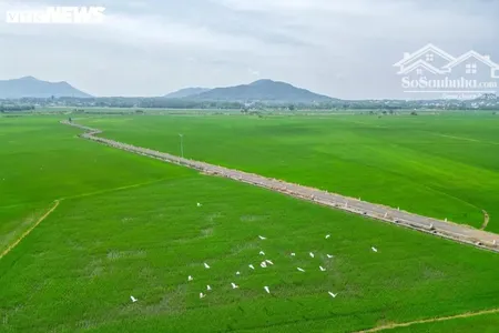 Siêu Phẩm Homestay Nghỉ Dưỡng Cực đẹp